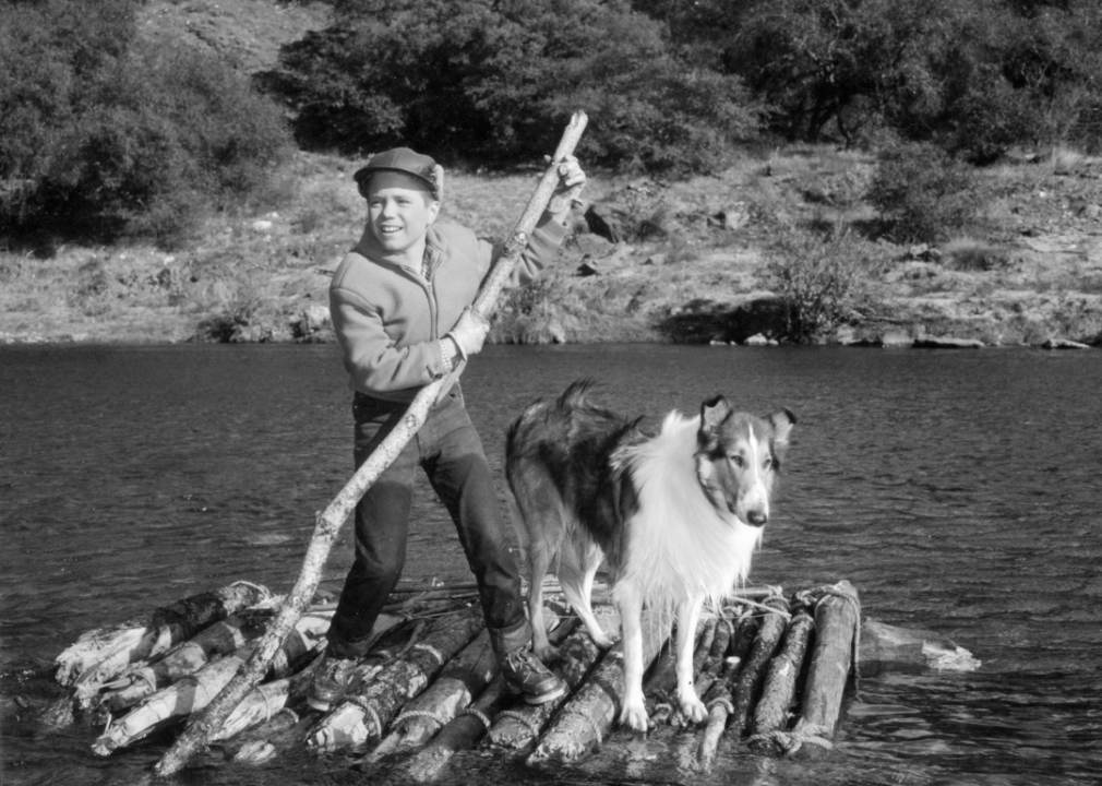 Lassie